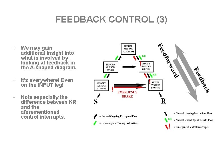 FEEDBACK CONTROL (3) • We may gain additional insight into what is involved by