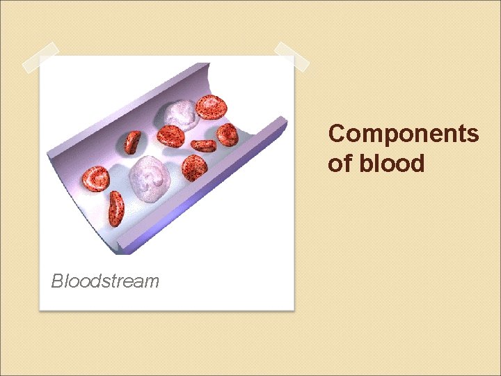 Components of blood Bloodstream 