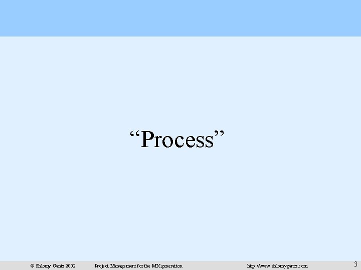 “Process” © Shlomy Gantz 2002 Project Management for the MX generation http: //www. shlomygantz.