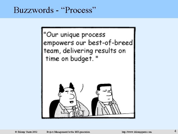 Buzzwords - “Process” © Shlomy Gantz 2002 Project Management for the MX generation http: