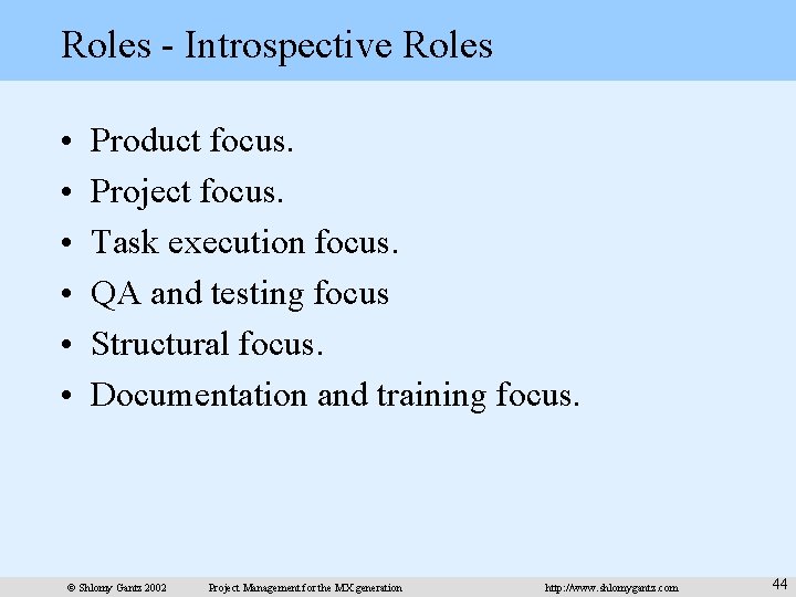 Roles - Introspective Roles • • • Product focus. Project focus. Task execution focus.
