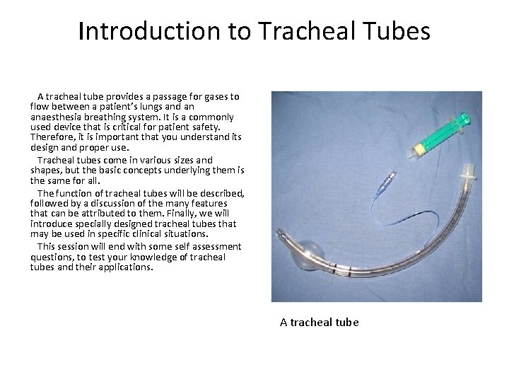 Introduction to Tracheal Tubes A tracheal tube provides a passage for gases to flow