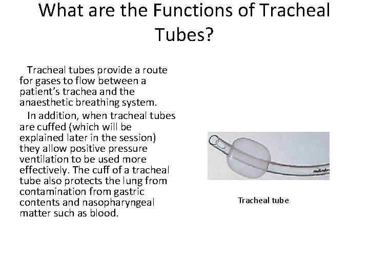 What are the Functions of Tracheal Tubes? Tracheal tubes provide a route for gases