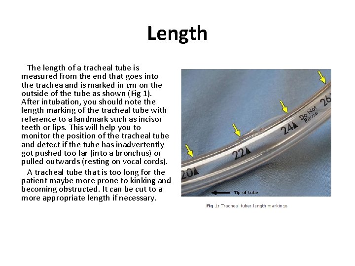 Length The length of a tracheal tube is measured from the end that goes