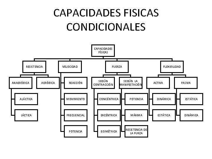 CAPACIDADES FISICAS CONDICIONALES CAPACIDADES FÍSICAS RESISTENCIA ANAERÓBICA VELOCIDAD REACCIÓN FUERZA SEGÚN CONTRACCIÓN FLEXIBILIDAD SEGÚN