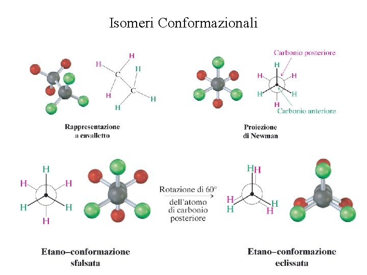 Isomeri Conformazionali 