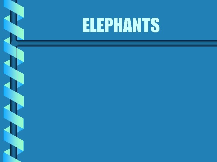 ELEPHANTS 