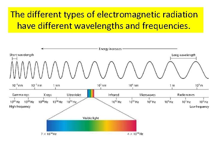 The different types of electromagnetic radiation have different wavelengths and frequencies. 