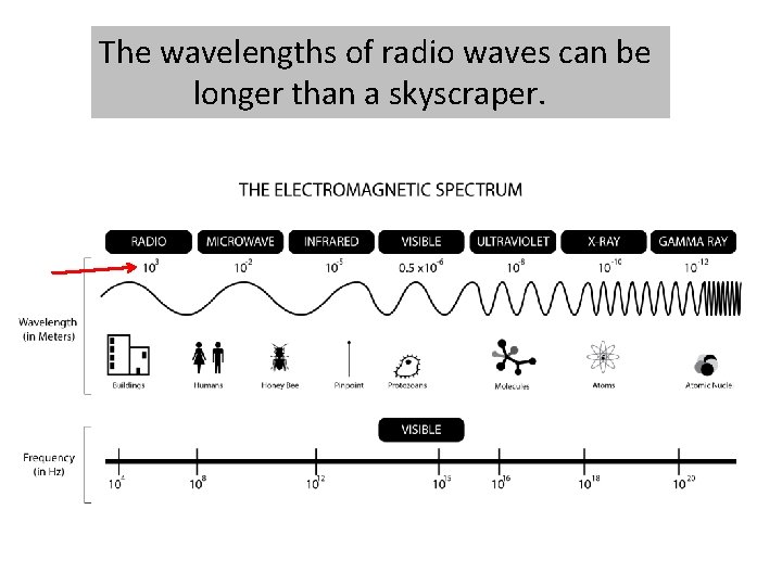 The wavelengths of radio waves can be longer than a skyscraper. 