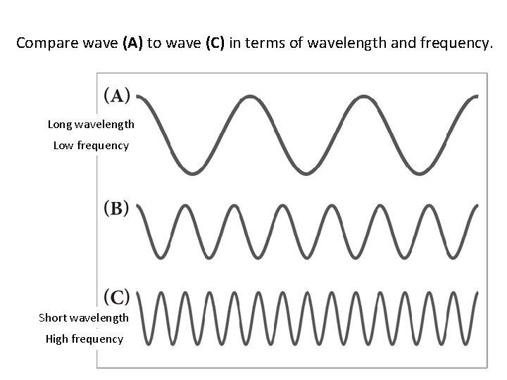 Compare wave (A) to wave (C) in terms of wavelength and frequency. Long wavelength