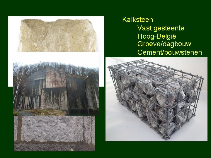 Kalksteen Vast gesteente Hoog-België Groeve/dagbouw Cement/bouwstenen 