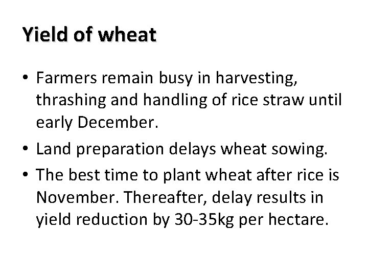 Yield of wheat • Farmers remain busy in harvesting, thrashing and handling of rice