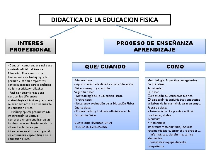 DIDACTICA DE LA EDUCACION FISICA INTERES PROFESIONAL - Conocer, comprender y utilizar el currículo