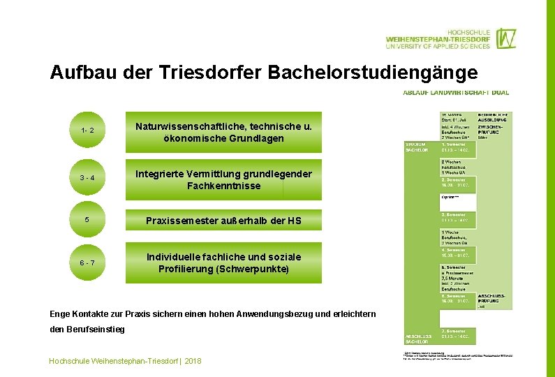 Aufbau der Triesdorfer Bachelorstudiengänge 1 - 2 Naturwissenschaftliche, technische u. ökonomische Grundlagen 3 -4