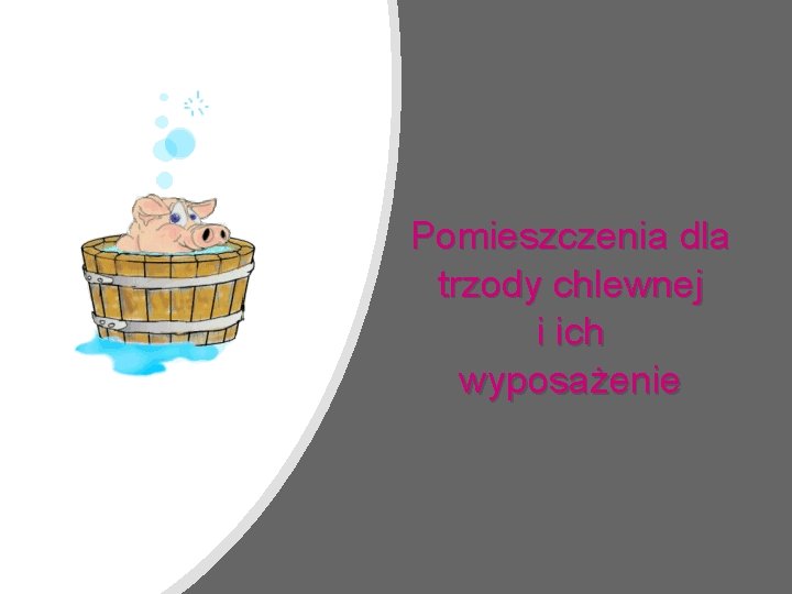 Pomieszczenia dla trzody chlewnej i ich wyposażenie 