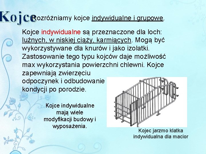 Kojce. Rozróżniamy kojce indywidualne i grupowe. Kojce indywidualne są przeznaczone dla loch: luźnych, w Kojce. Rozróżniamy kojce indywidualne i grupowe. Kojce indywidualne są przeznaczone dla loch: luźnych, w