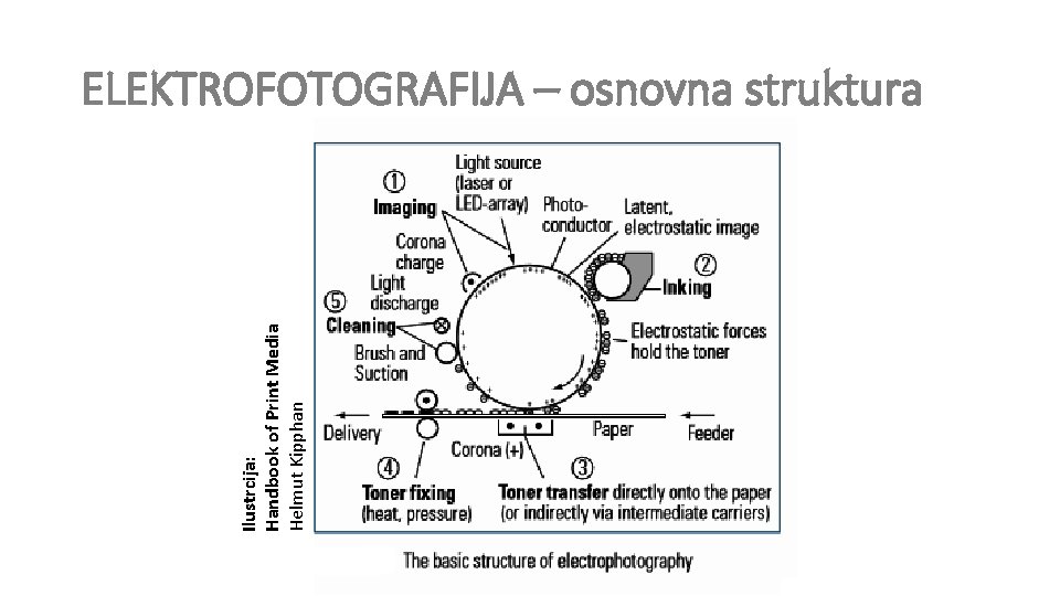 Ilustrcija: Handbook of Print Media Helmut Kipphan ELEKTROFOTOGRAFIJA – osnovna struktura 