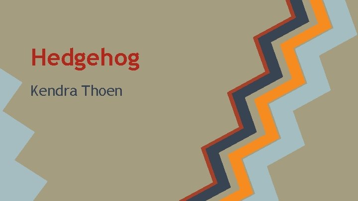 Hedgehog Kendra Thoen 