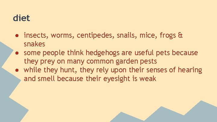 diet ● insects, worms, centipedes, snails, mice, frogs & snakes ● some people think