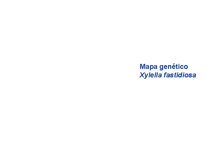 Mapa genético Xylella fastidiosa 