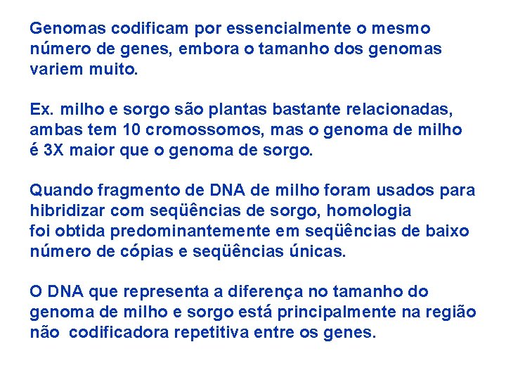 Genomas codificam por essencialmente o mesmo número de genes, embora o tamanho dos genomas