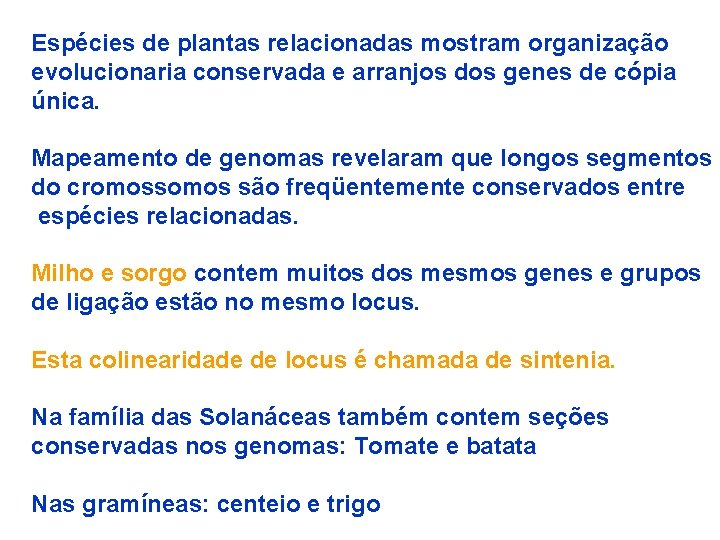Espécies de plantas relacionadas mostram organização evolucionaria conservada e arranjos dos genes de cópia
