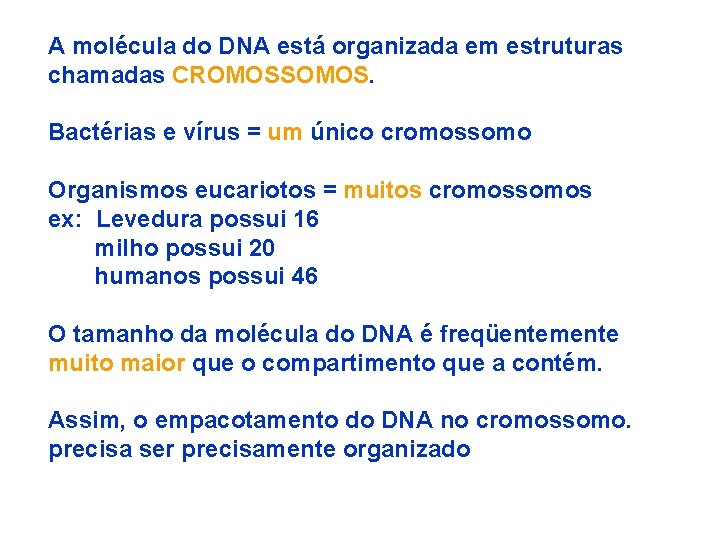 A molécula do DNA está organizada em estruturas chamadas CROMOSSOMOS. Bactérias e vírus =