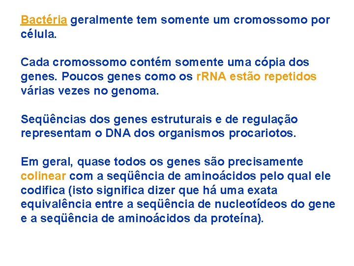 Bactéria geralmente tem somente um cromossomo por célula. Cada cromossomo contém somente uma cópia