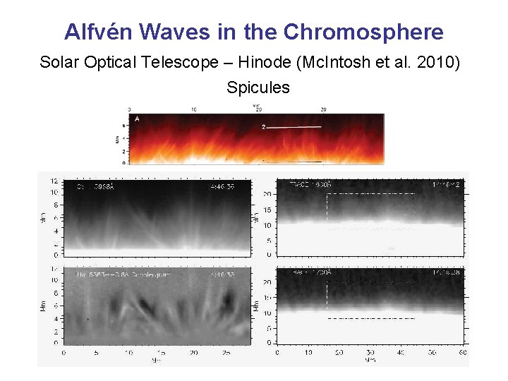 Alfvén Waves in the Chromosphere Solar Optical Telescope – Hinode (Mc. Intosh et al.