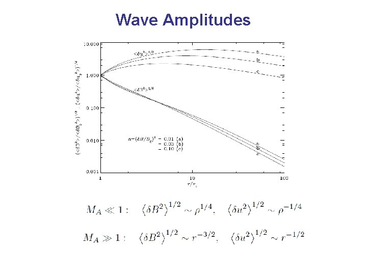 Wave Amplitudes 