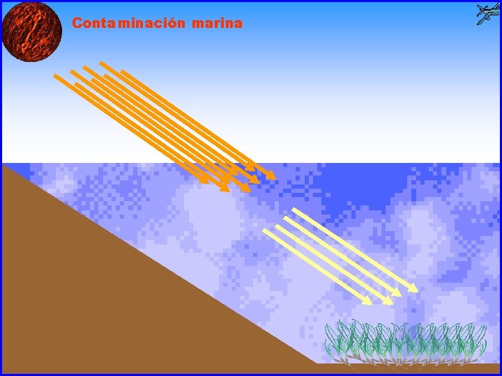 Contaminación marina 