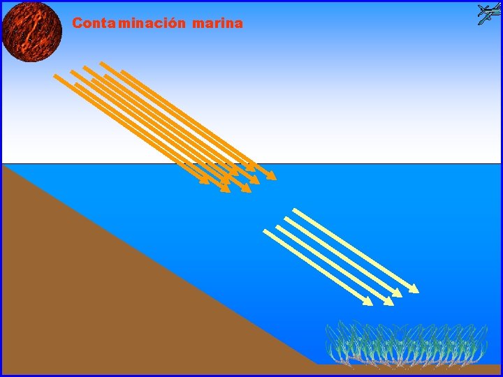 Contaminación marina 