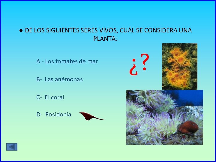 ● DE LOS SIGUIENTES SERES VIVOS, CUÁL SE CONSIDERA UNA PLANTA: A - Los