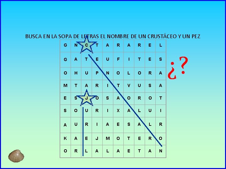 BUSCA EN LA SOPA DE LETRAS EL NOMBRE DE UN CRUSTÁCEO Y UN PEZ