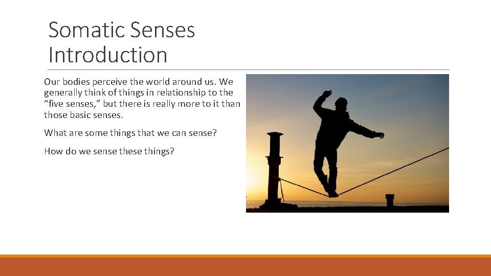 Somatic Senses Introduction Our bodies perceive the world around us. We generally think of