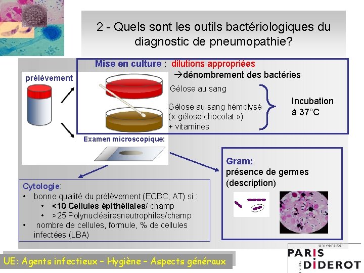 2 - Quels sont les outils bactériologiques du diagnostic de pneumopathie? prélèvement Mise en