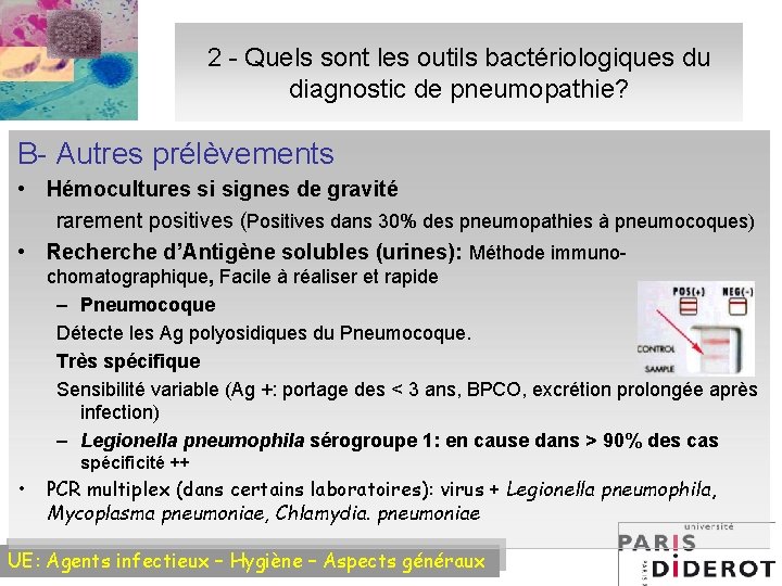 2 - Quels sont les outils bactériologiques du diagnostic de pneumopathie? B- Autres prélèvements