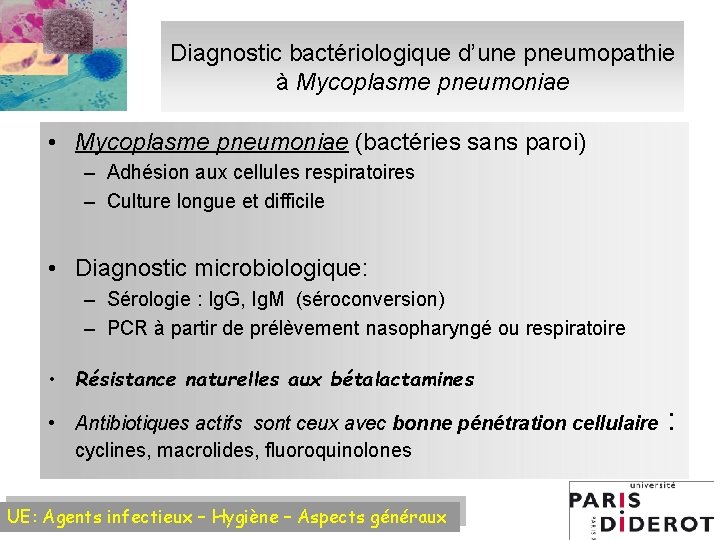 Diagnostic bactériologique d’une pneumopathie à Mycoplasme pneumoniae • Mycoplasme pneumoniae (bactéries sans paroi) –