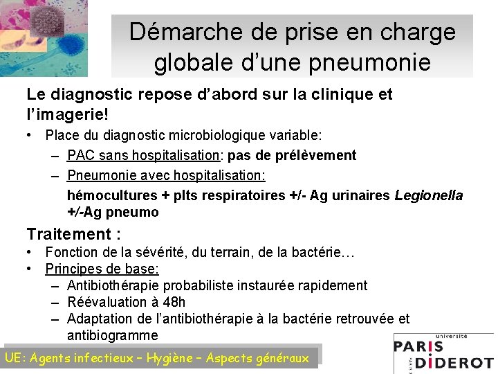 Démarche de prise en charge globale d’une pneumonie Le diagnostic repose d’abord sur la