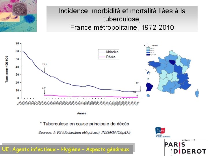 Incidence, morbidité et mortalité liées à la tuberculose, France métropolitaine, 1972 -2010 UE: Agents