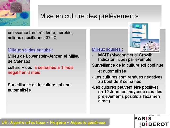 Mise en culture des prélèvements croissance très lente, aérobie, milieux spécifiques, 37° C Milieux