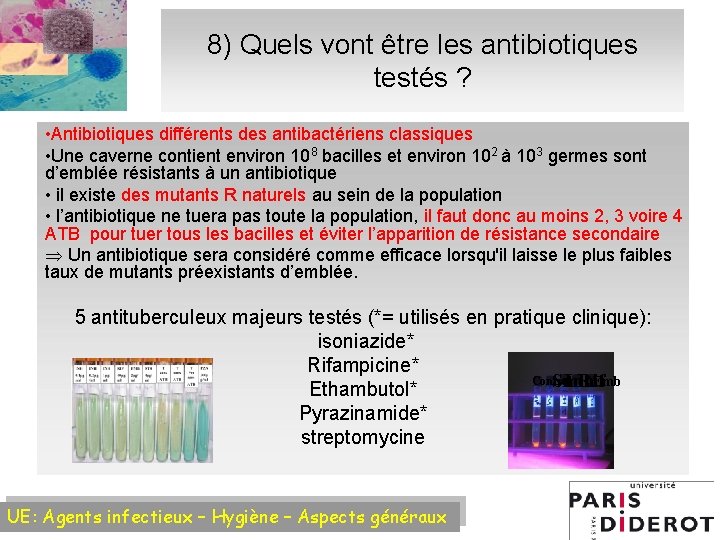 8) Quels vont être les antibiotiques testés ? • Antibiotiques différents des antibactériens classiques