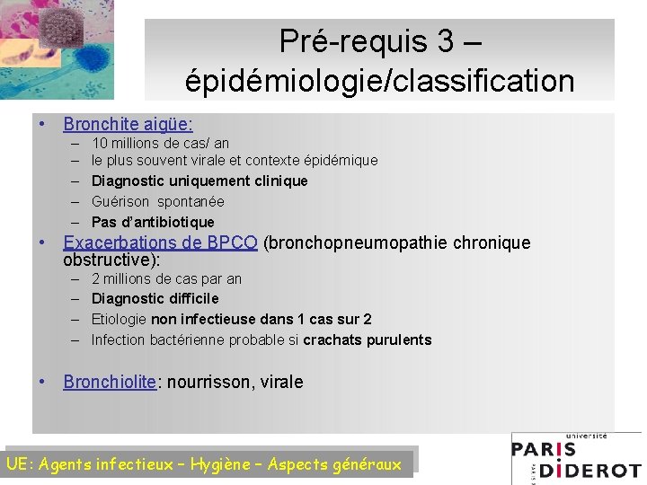 Pré-requis 3 – épidémiologie/classification • Bronchite aigüe: – – – 10 millions de cas/