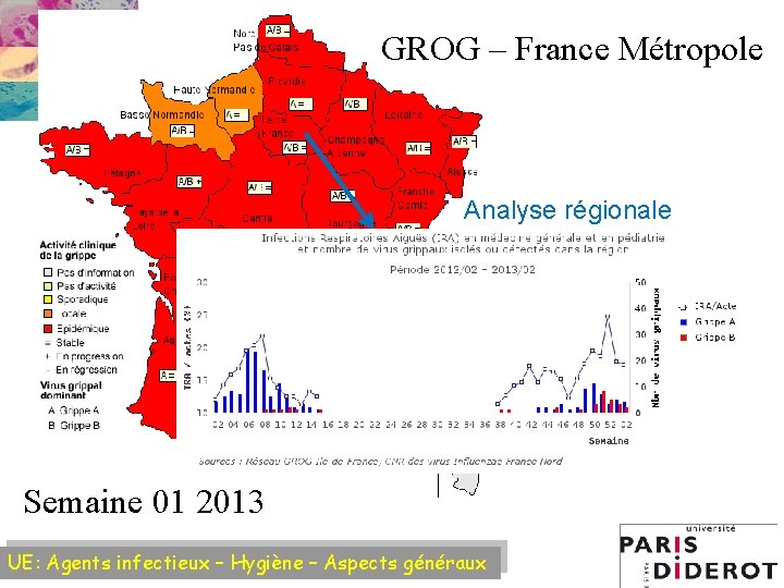 GROG – France Métropole Analyse régionale Semaine 01 2013 UE: Agents infectieux – Hygiène