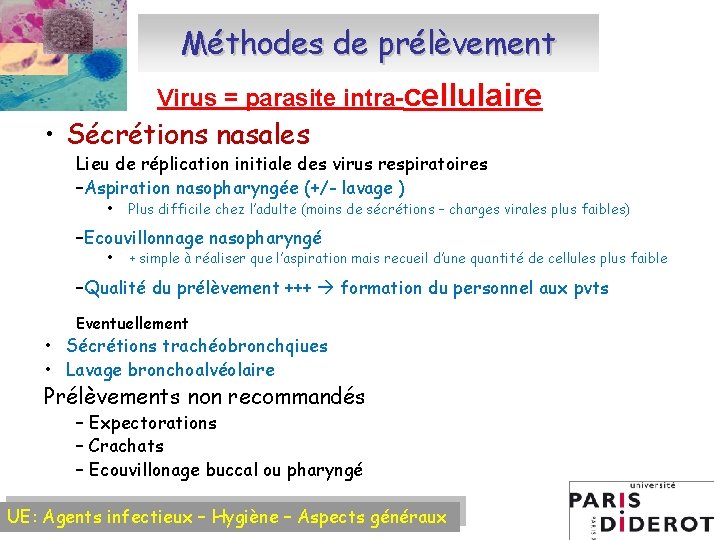 Méthodes de prélèvement Virus = parasite intra-cellulaire • Sécrétions nasales Lieu de réplication initiale