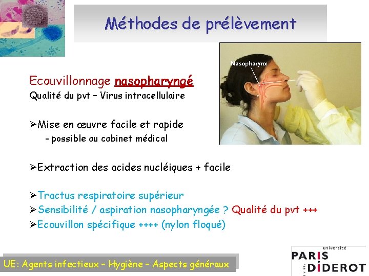 Méthodes de prélèvement Ecouvillonnage nasopharyngé Qualité du pvt – Virus intracellulaire ØMise en œuvre