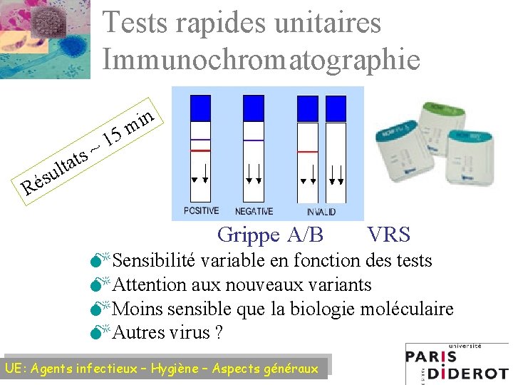 Tests rapides unitaires Immunochromatographie ts a t sul 5 1 ~ n i m