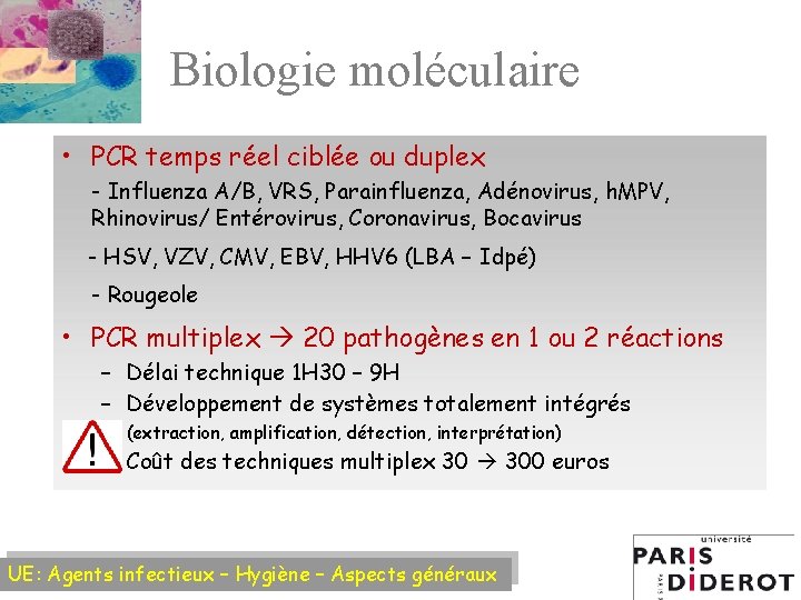 Biologie moléculaire • PCR temps réel ciblée ou duplex - Influenza A/B, VRS, Parainfluenza,