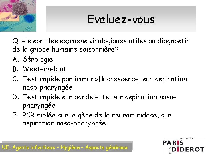 Evaluez-vous Quels sont les examens virologiques utiles au diagnostic de la grippe humaine saisonnière?