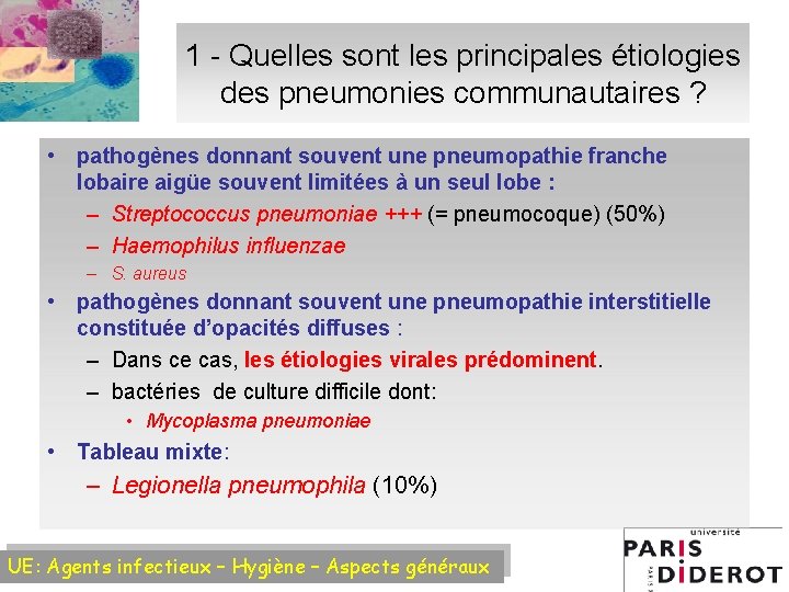 1 - Quelles sont les principales étiologies des pneumonies communautaires ? • pathogènes donnant